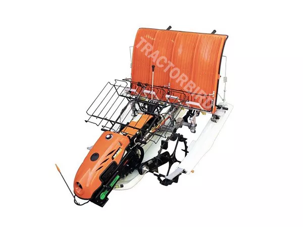 SHAKTIMAN-Paddy Ropak 37