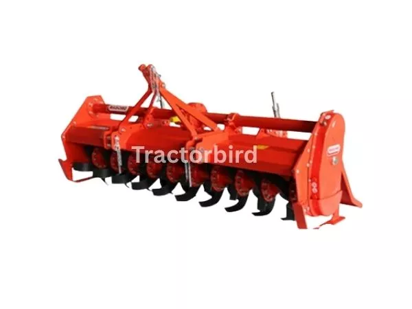 MASCHIO GASPARDO-PADDY 185