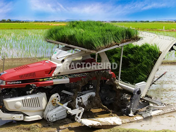 MAHINDRA RICE TRANSPLANTER MP461