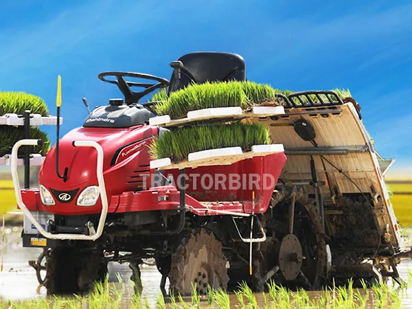 MAHINDRA PLANTING MASTER PADDY 4RO