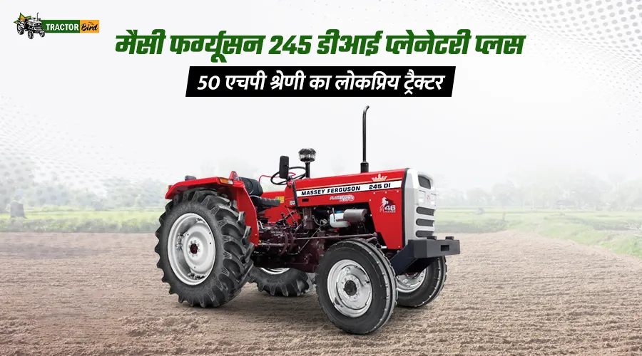 मैसी
