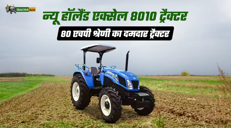न्यू