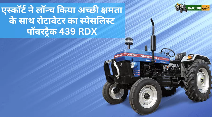 एस्कॉर्ट