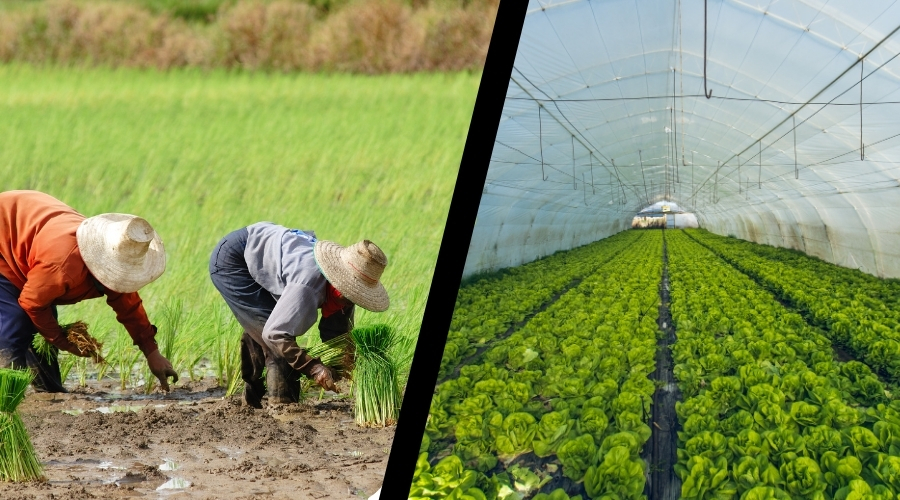 प्राकृतिक