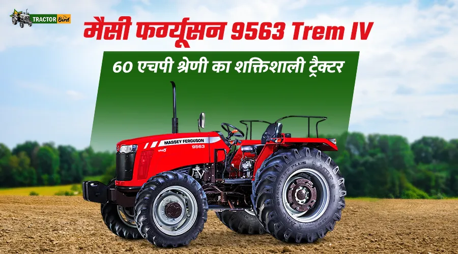 मैसी