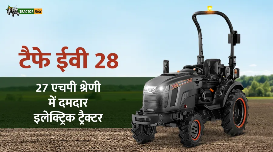 टैफे