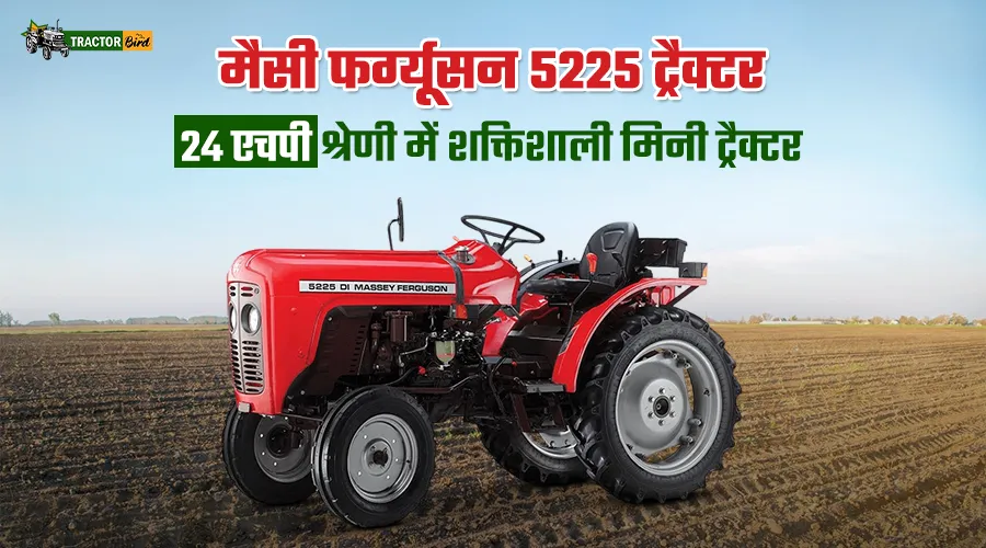 मैसी