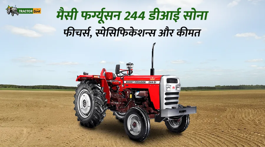 मैसी