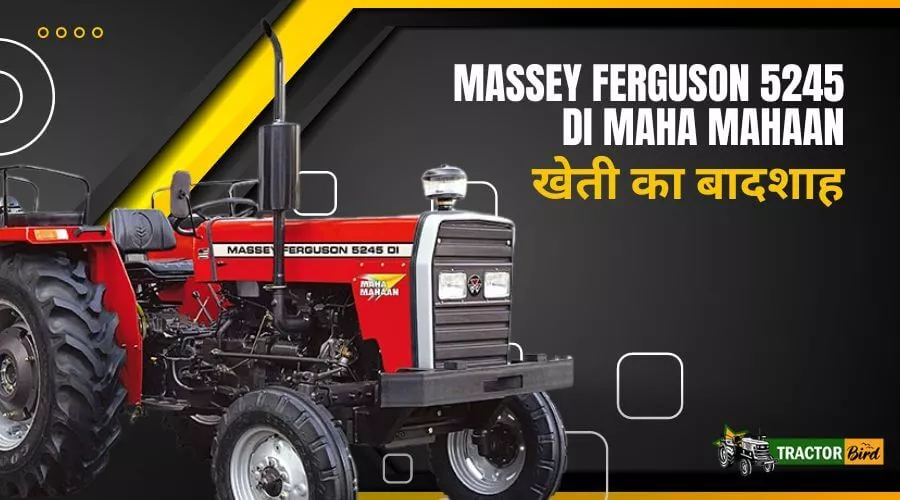 Massey