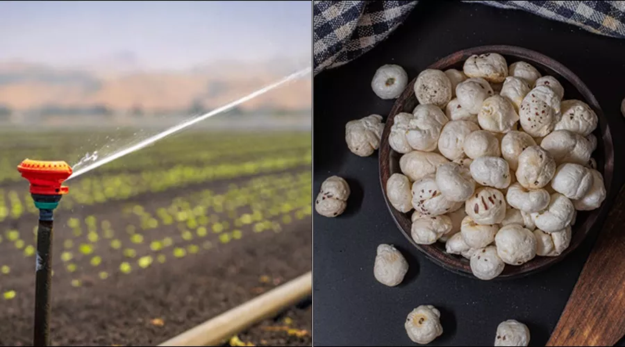 सूक्ष्म