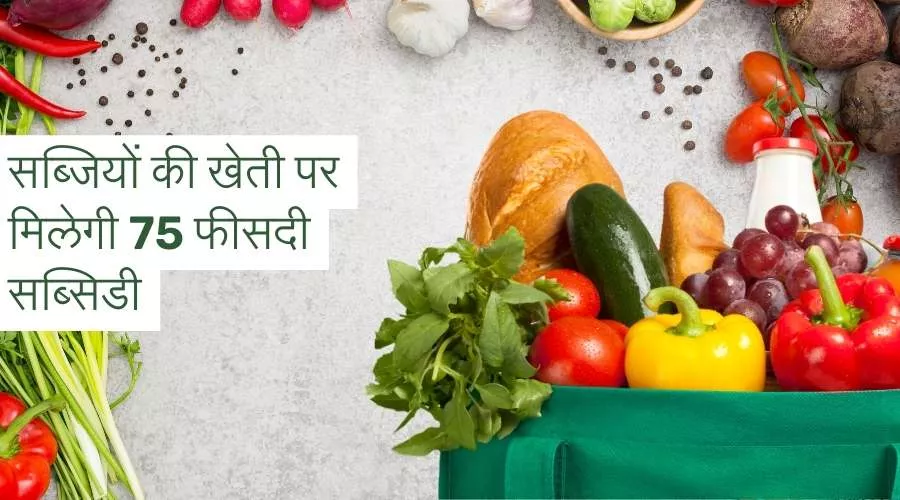 सब्जियों