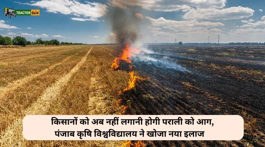 किसानों