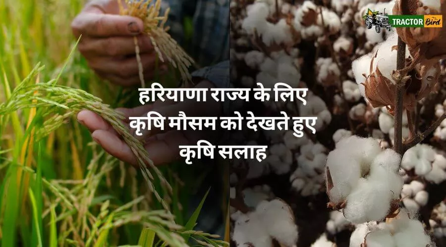 हरियाणा