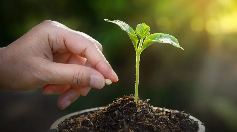 किसानों