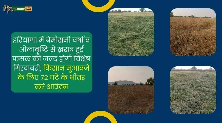 हरियाणा