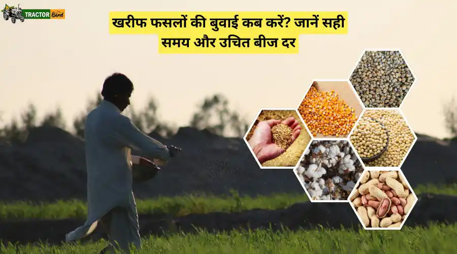 खरीफ