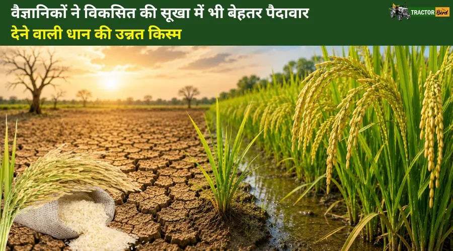वैज्ञानिकों