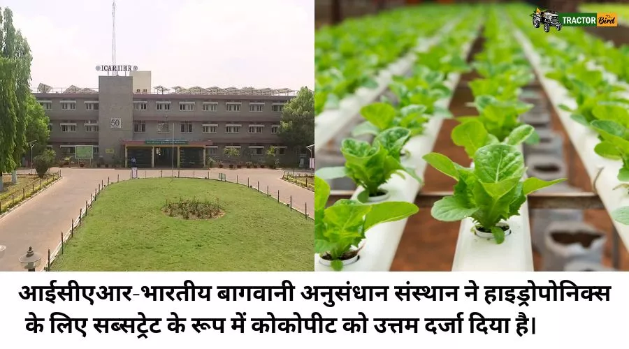 आईसीएआर-भारतीय