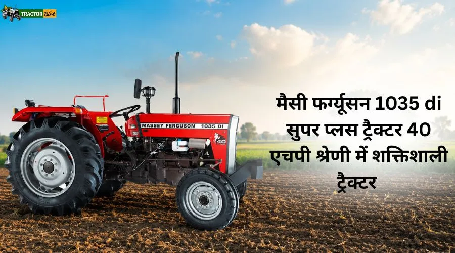 मैसी