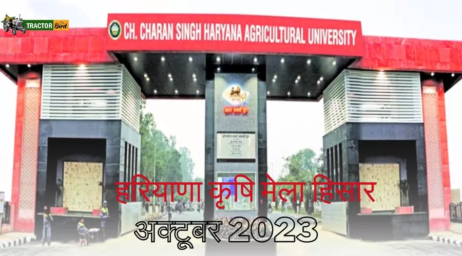 हरियाणा