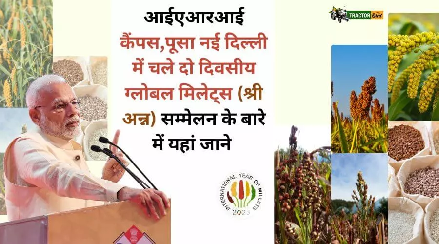 आईएआरआई