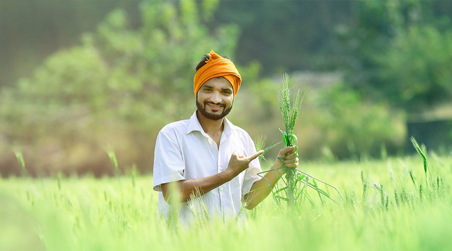 किसानों
