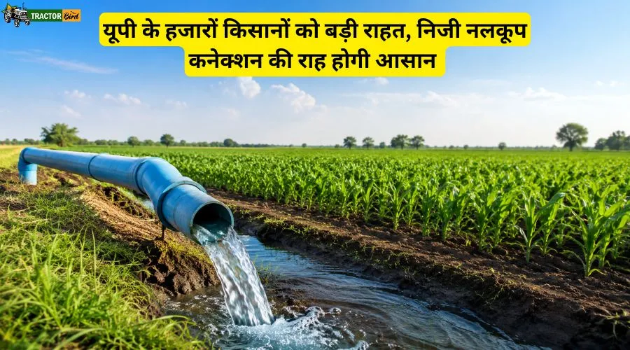 यूपी