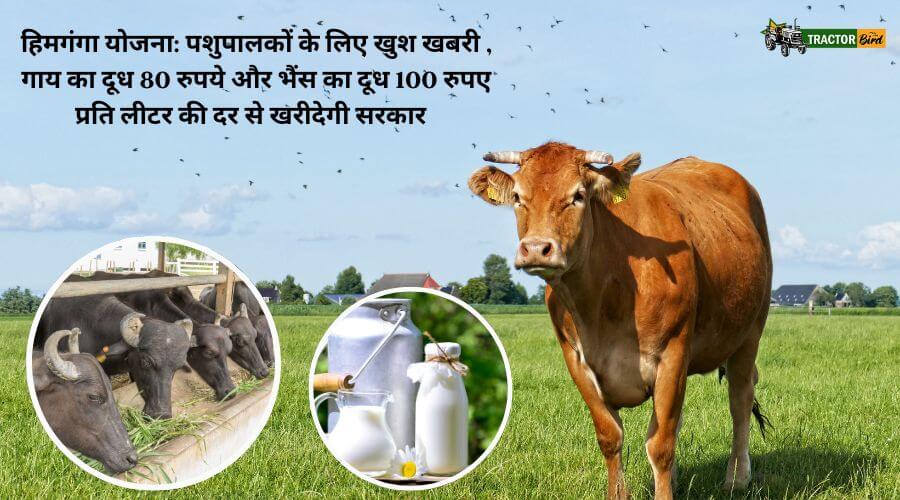 हिमगंगा