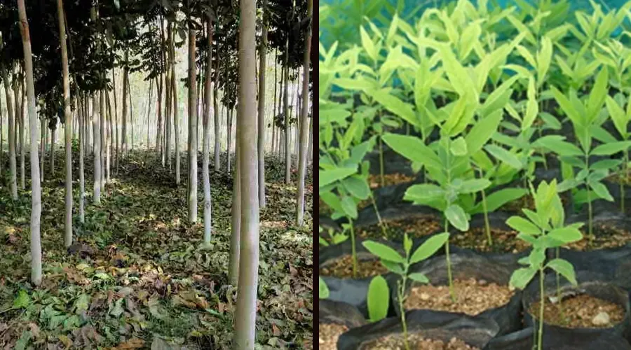 किसानों