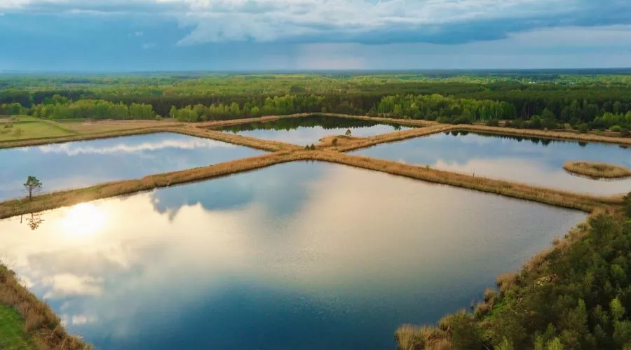 किसानों