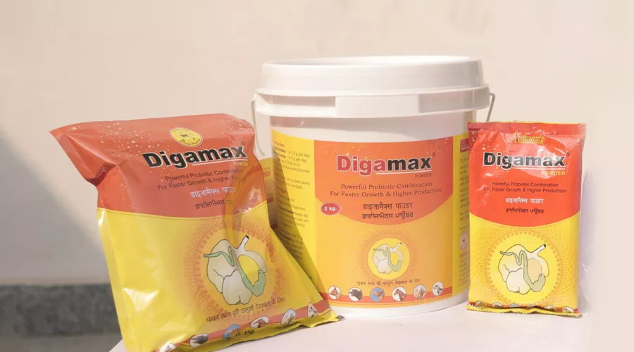 डिगामैक्स