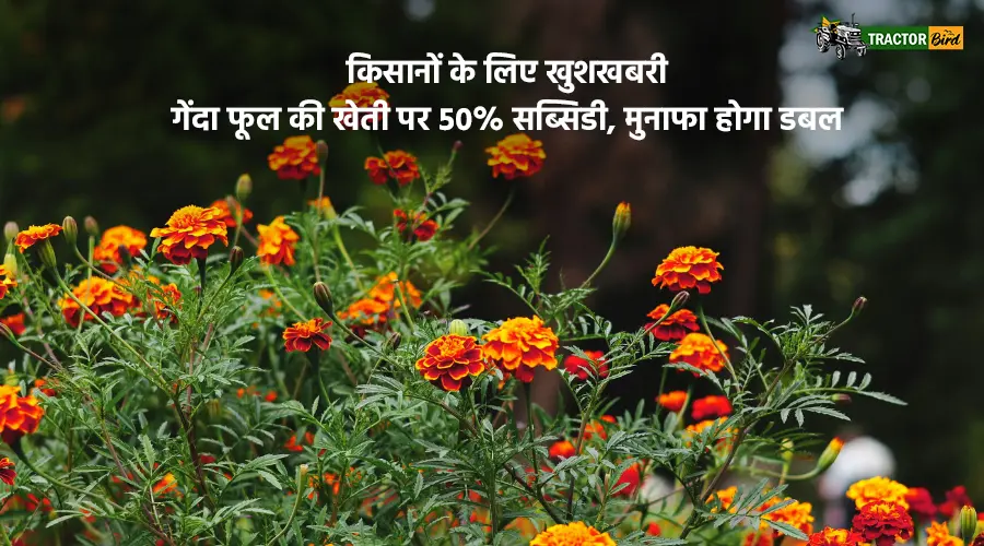 किसानों