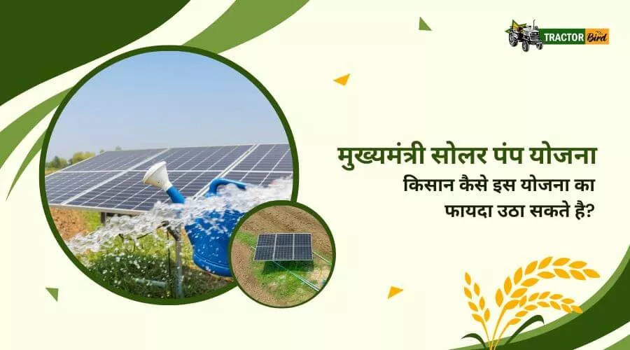 मुख्यमंत्री