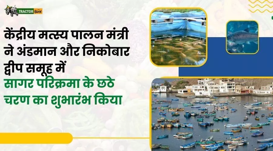 केंद्रीय