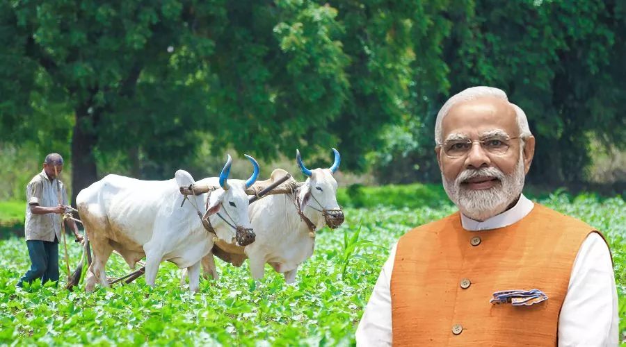 प्रधानमंत्री