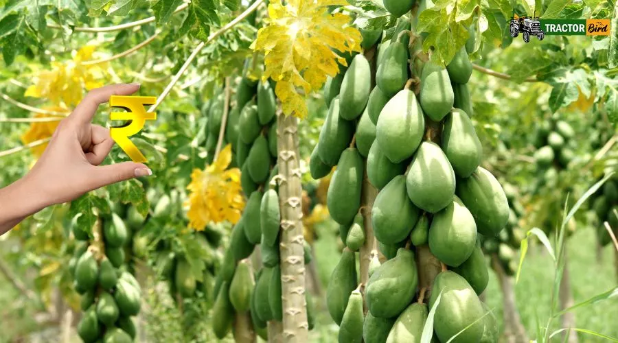 किसानों