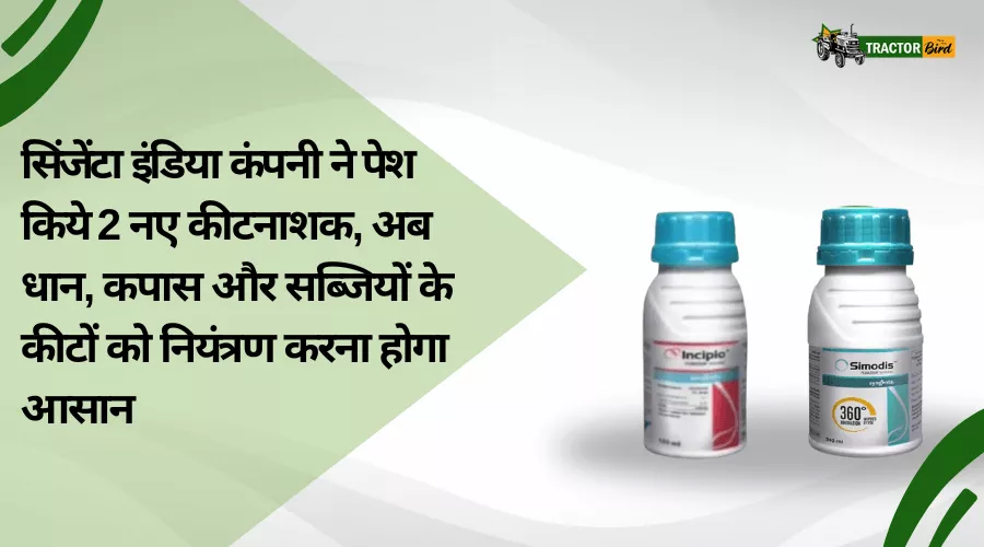 सिंजेंटा