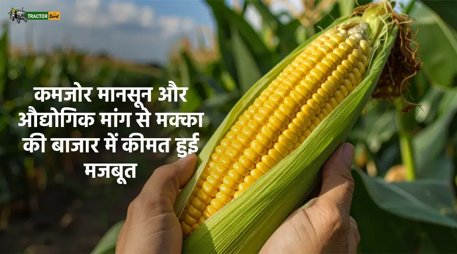 कमजोर
