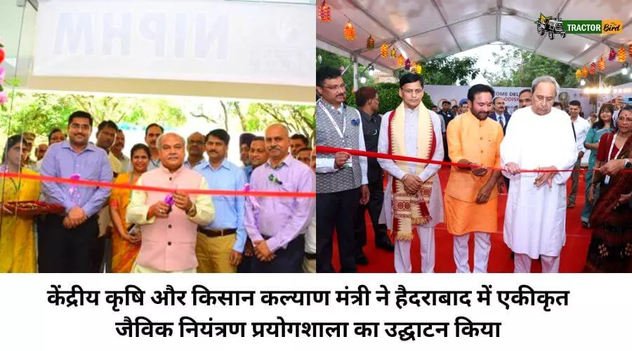 केंद्रीय