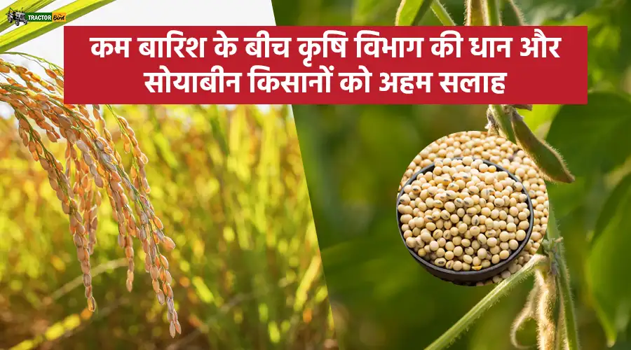 कम