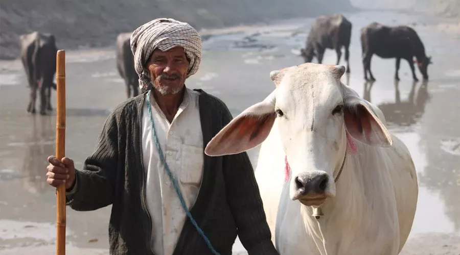 पशुपालकों