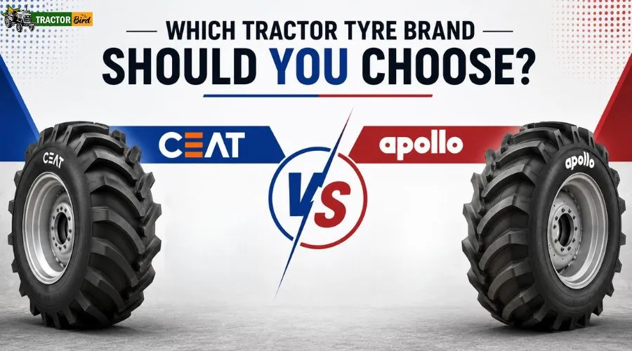Which