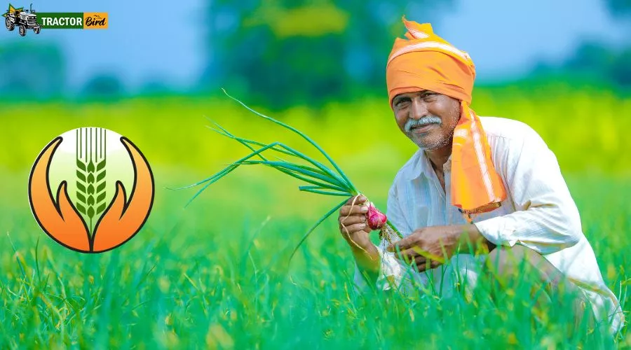 प्रधानमंत्री