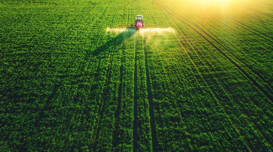 अनुसंधान