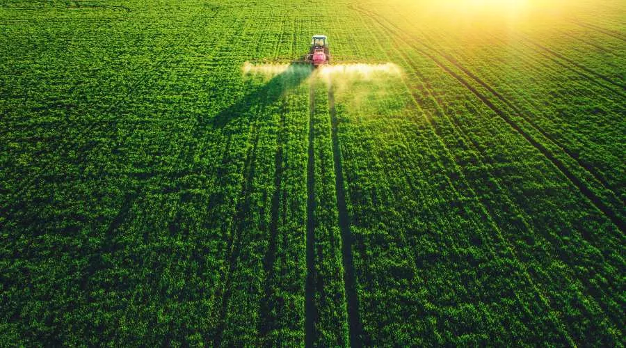 अनुसंधान