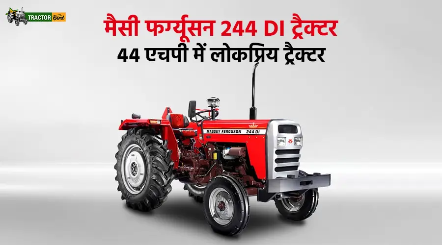 मैसी