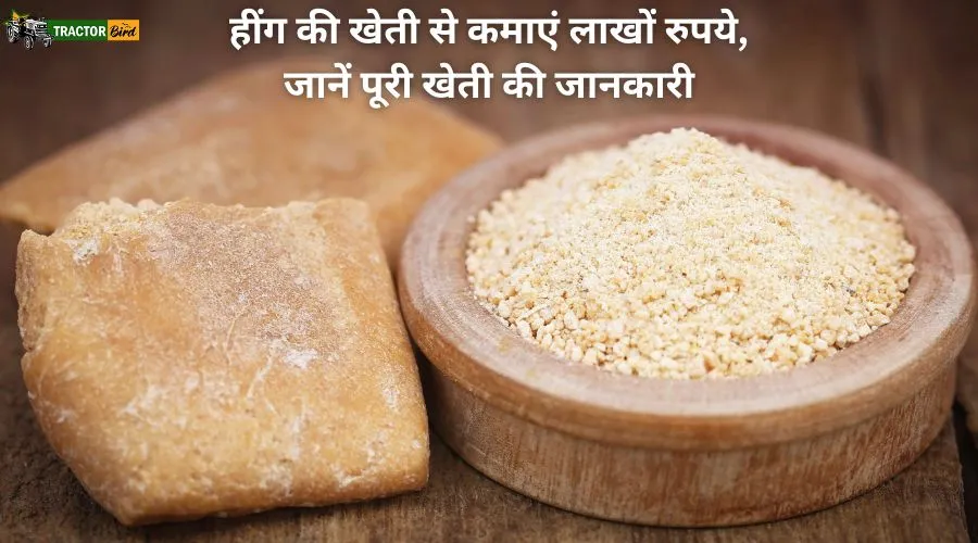 हींग