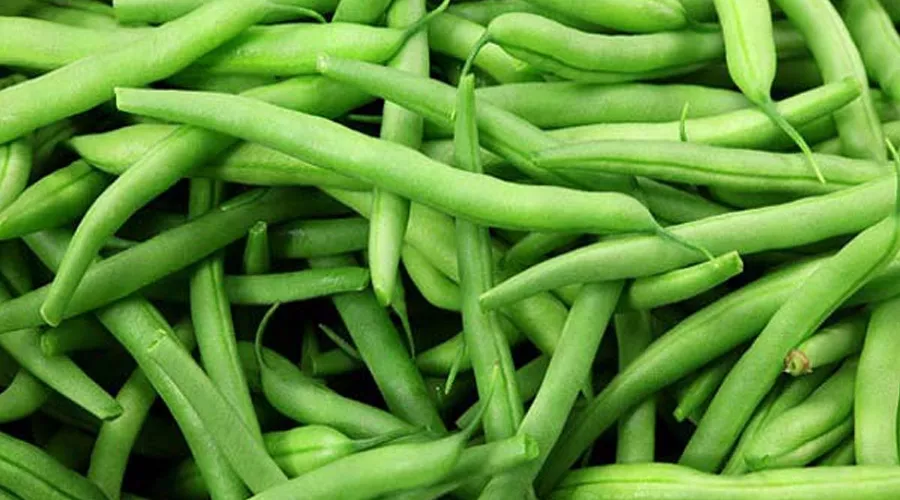 फ्रेंचबीन