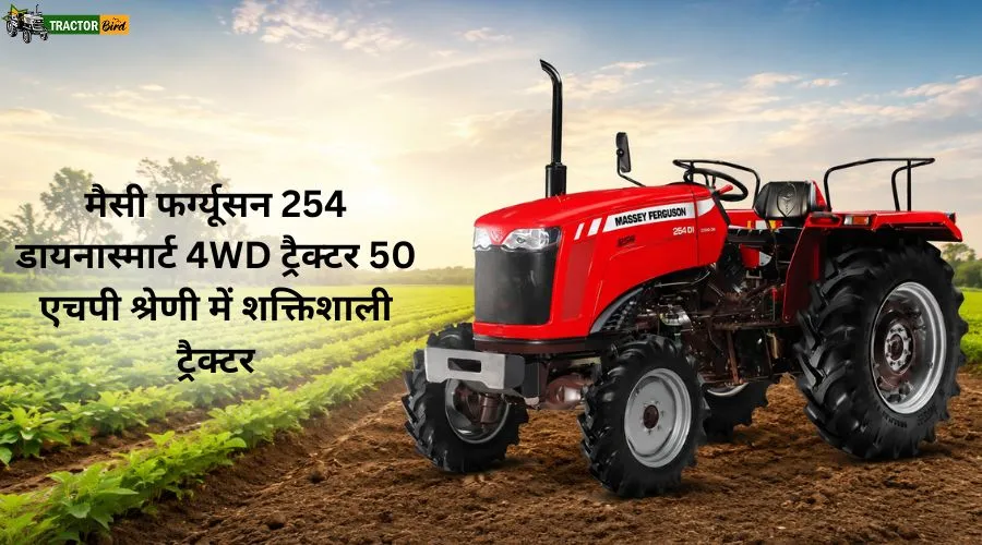 मैसी