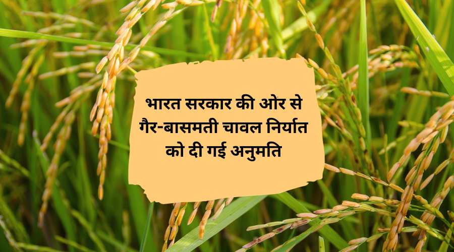 भारत सरकार ने सात देशों में गैर बासमती चावल के 10 लाख टन से अधिक के निर्यात की दी अनुमति